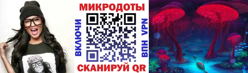Галлюциногенные грибы Psilocybe  Камбарка 